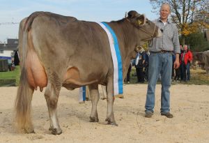 151024LU_OB_Schau 127